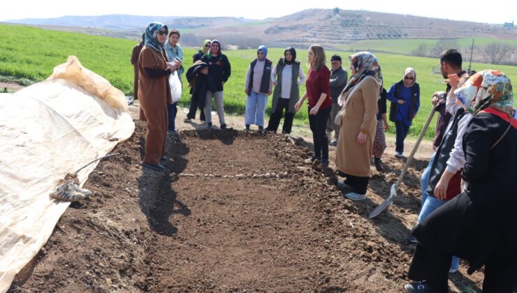 Kadın çiftçilerle sebze fidesi yetiştirme kursu düzenlendi