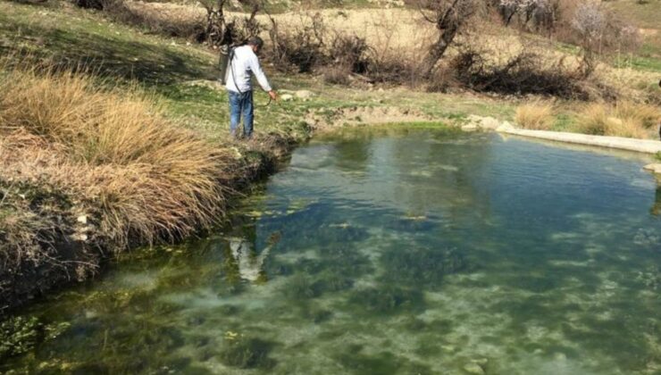 960 yerleşim yerinde karasinek ve sivrisinekle mücadele çalışmaları 1 Mayıs itibariyle başladı