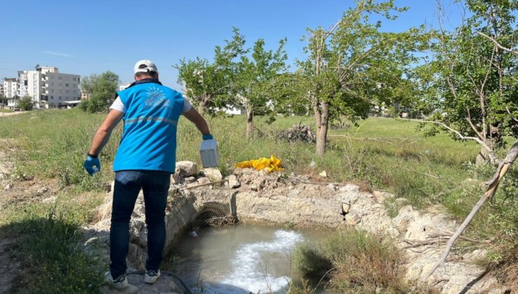 Adıyaman Belediyesi’nden yaz öncesi uçkunla mücadele seferberliği