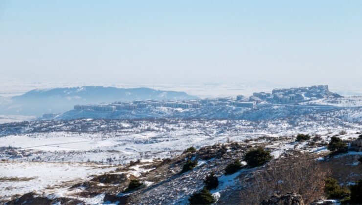 Adıyaman’da karda aç kalan yaban domuzları İndere bolgesine indi  – Videolu Haber