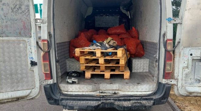 2,2 ton midye ve 156 küçükbaş hayvan Jandarma denetimine takıldı
