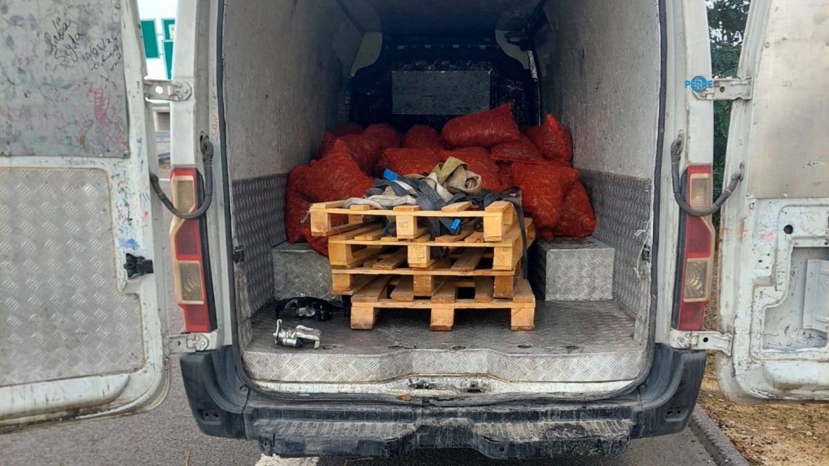 2,2 ton midye ve 156 küçükbaş hayvan Jandarma denetimine takıldı