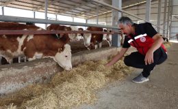 İl Müdürü Akkan; Hibe Destekli Modern Besi Çiftliğine İnceleme