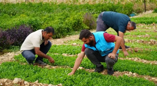 Adıyaman’da belediye ve kadın kooperatifinin üretim merkezinde sonbahar mesaisi
