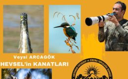 Adıyaman’da ‘Hevsel’in Kanatları’ fotoğraf sunumu sanatseverlerle buluşacak
