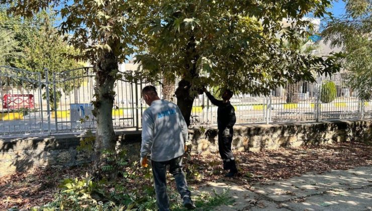 Adıyaman’da Eski Mezarlık’ta bakım ve temizlik çalışması başlatıldı