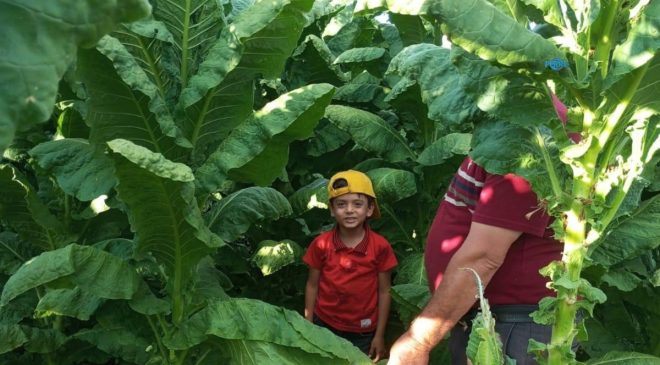 BBP Adıyaman İl Başkanlığı tütün üreticilerinin sorunlarını genel merkeze taşıyacak