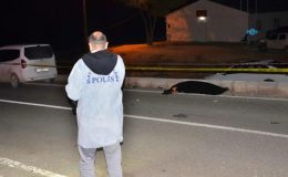 Besni’de otomobilin çarptığı yaya hayatını kaybetti